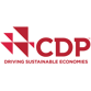 CDP Logo